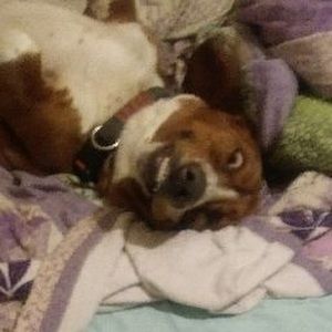 Meet your Posher, Bill